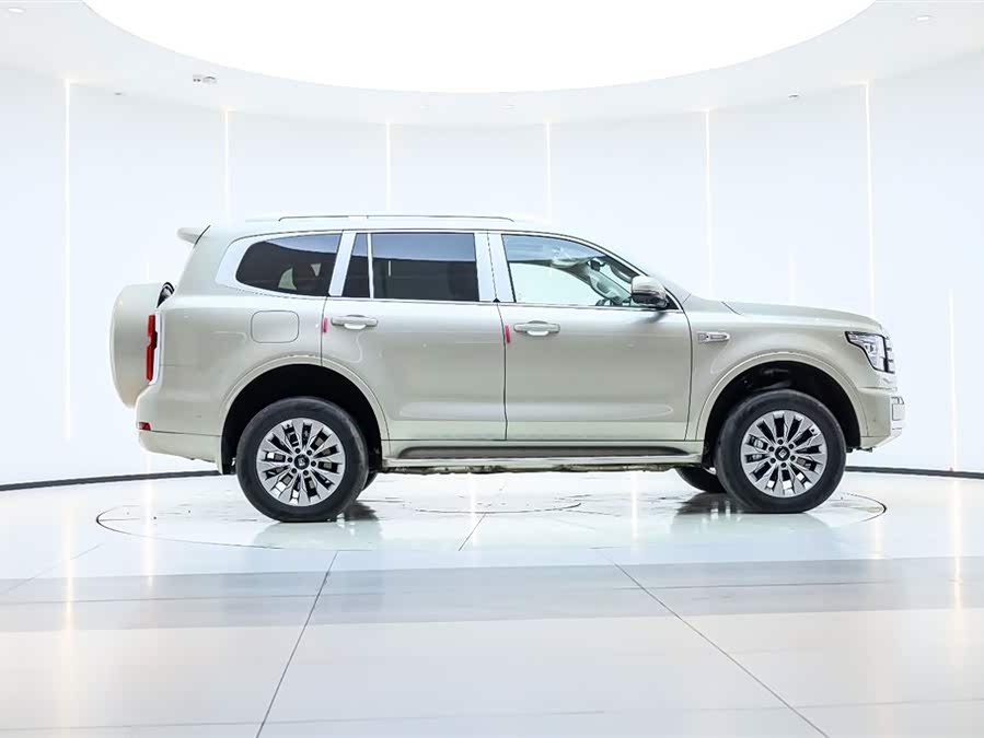 Tank 500 New Energy 2025 immagine di auto #8