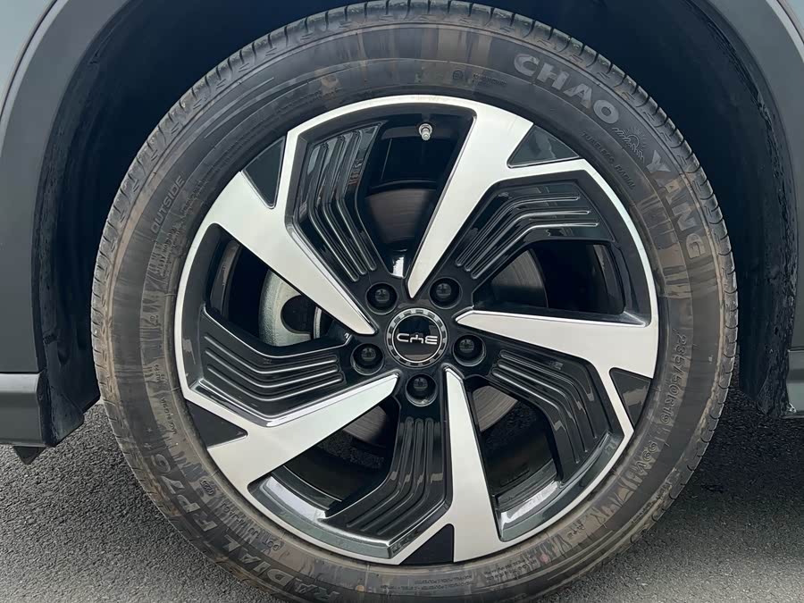 BYD Sea Lion 05 DM-i 2025 car image #8