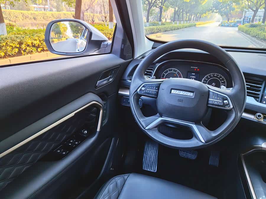Haval H6 2020 car image #8