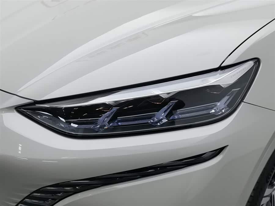 Denza 2023 car image #8