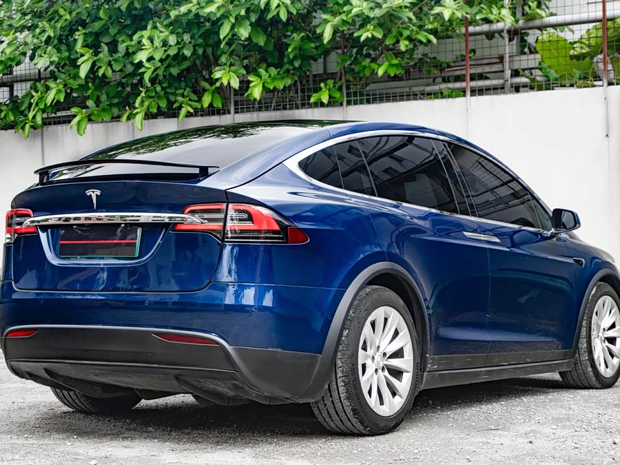 Tesla Model X 2020 car image #8