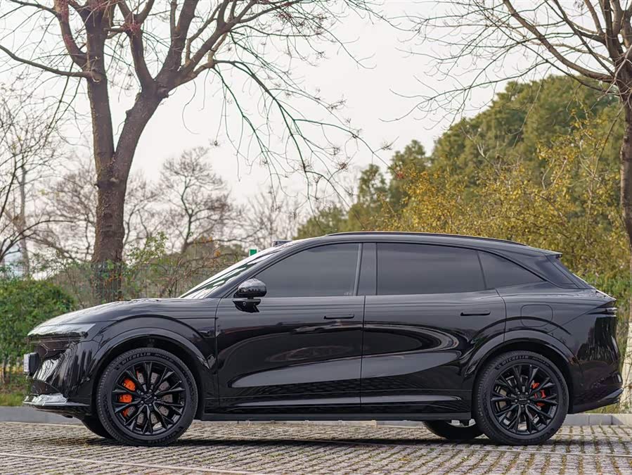 极氪 极氪7X 2025 汽车图片 #8