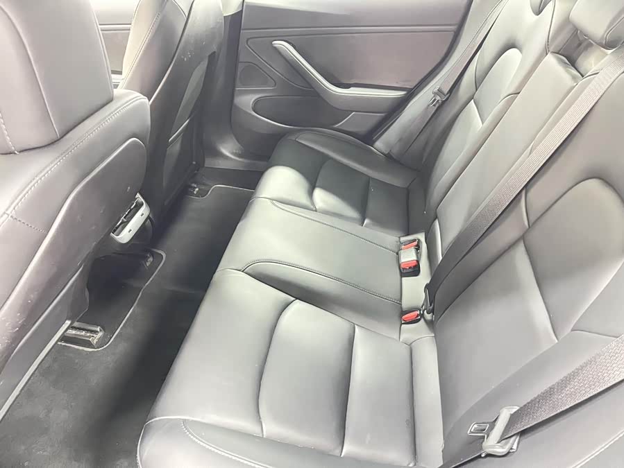 特斯拉 Model 3(进口) 2019 汽车图片 #8