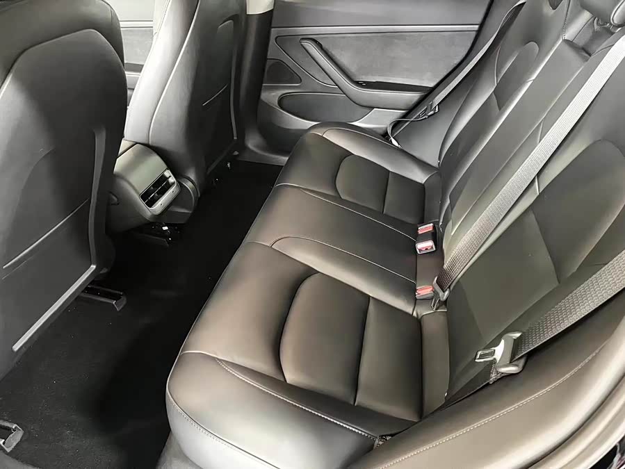 Tesla Model 3 2020 #8 Tesla Model 3 2020 car image #8