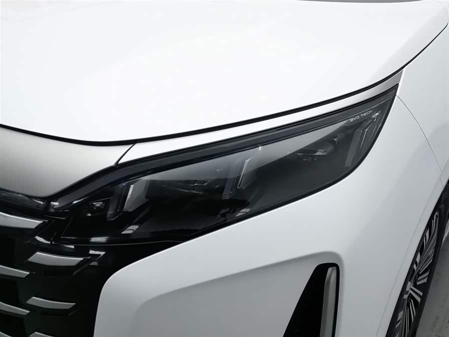 BYD Xia 2024 imagen de coche #8