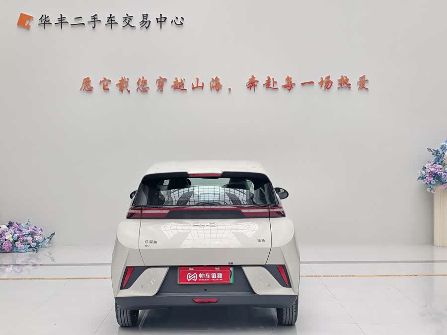 BYD Seagull 2025 #8 BYD Seagull 2025 immagine di auto #8