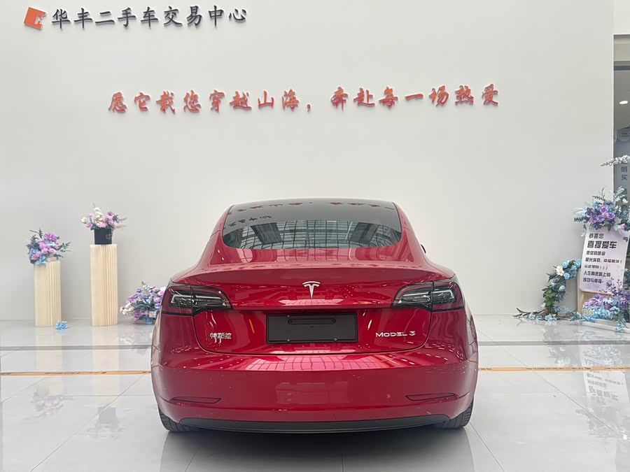 Tesla Model 3 2020 #8 Tesla Model 3 2020 car image #8