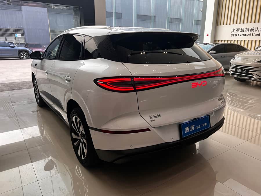 BYD Sea Lion 06 New Energy 2025 car image #8