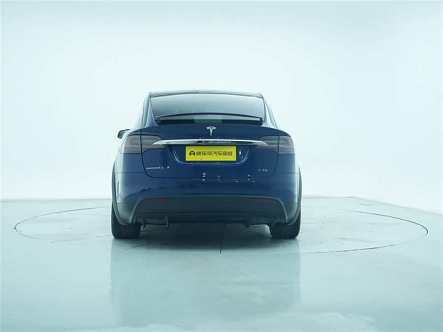 Tesla Model X 2018 car image #8