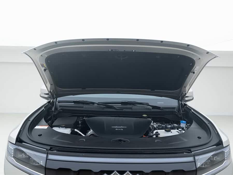 FangChengBao Leopard 8 2024 #8 FangChengBao Leopard 8 2024 car image #8