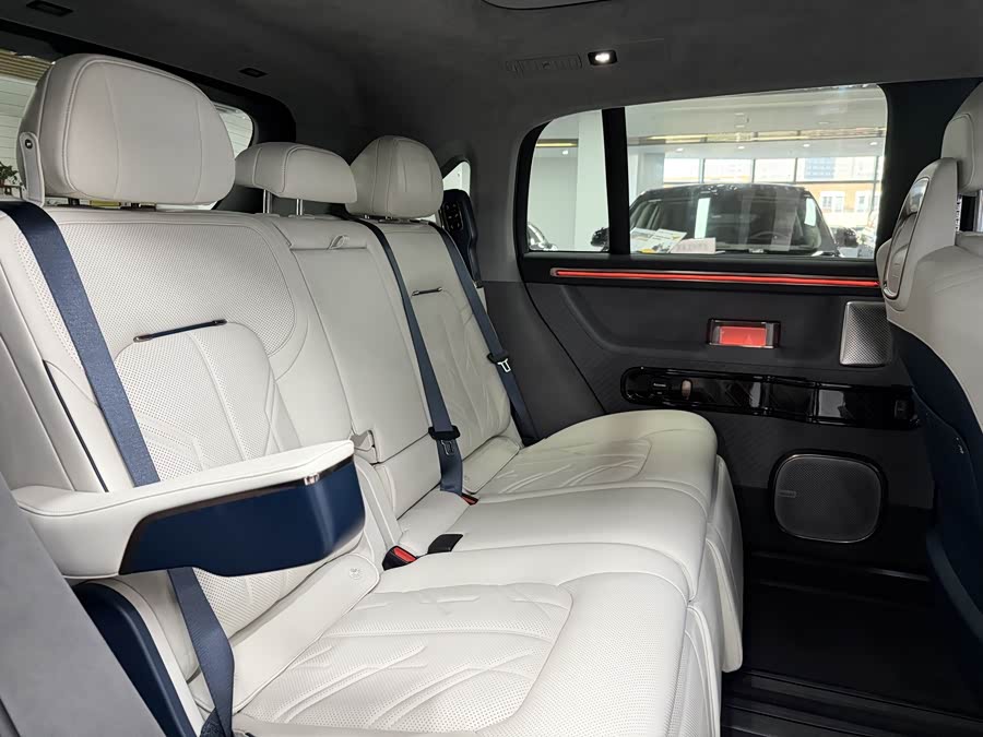 极氪 极氪MIX 汽车图片 #8