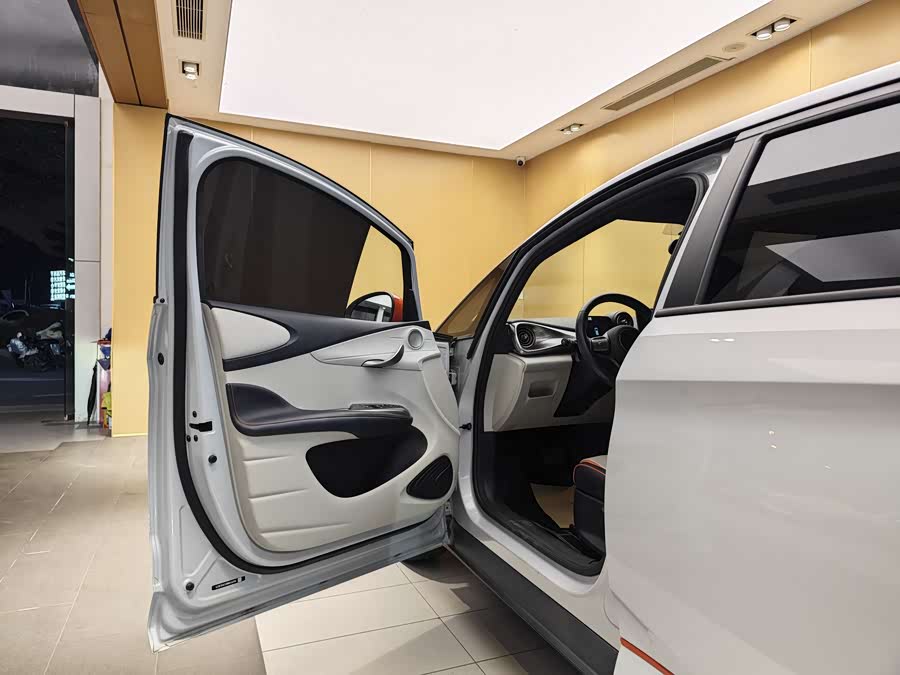 BYD Dolphin 2022 car image #8