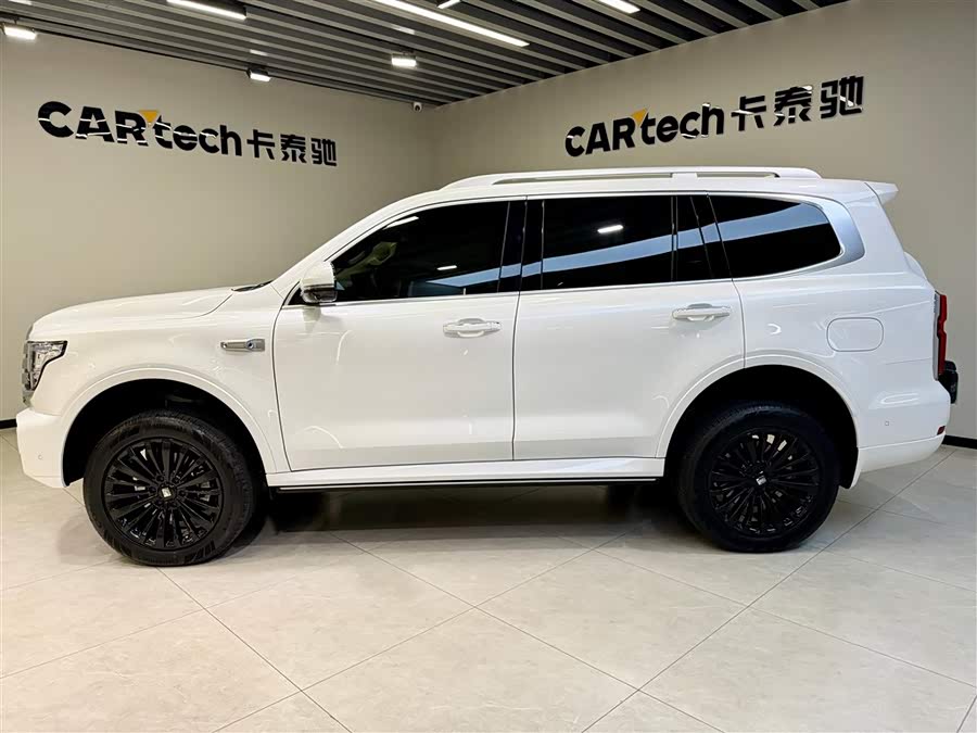 Tank 500 New Energy 2025 car image #8