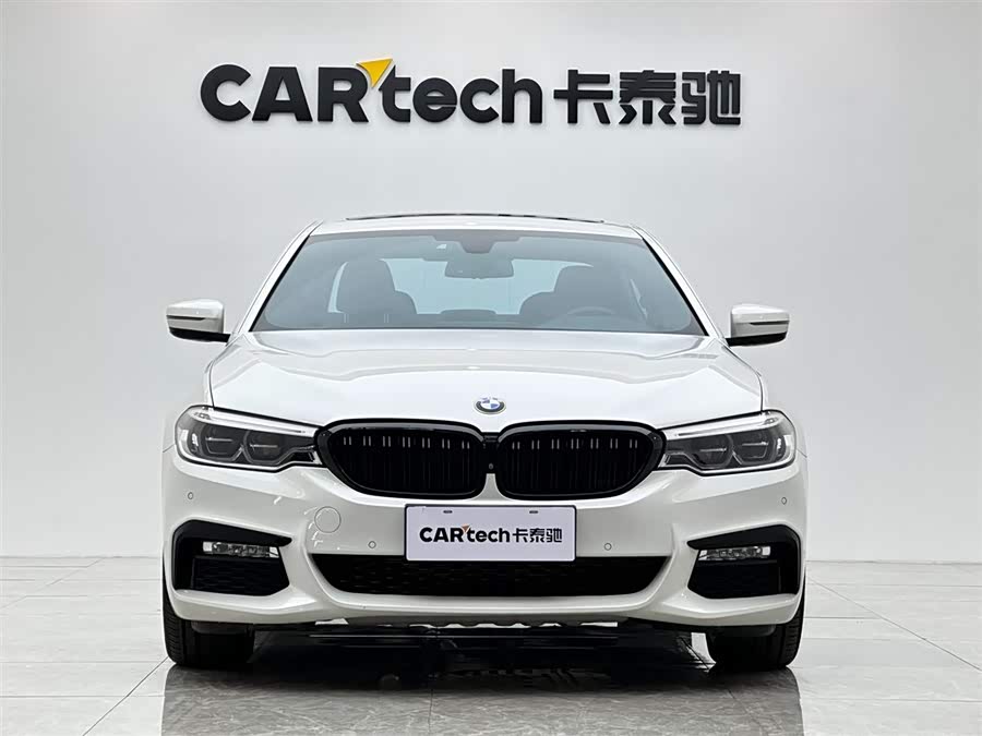BMW 5 Series 2018 car image #8