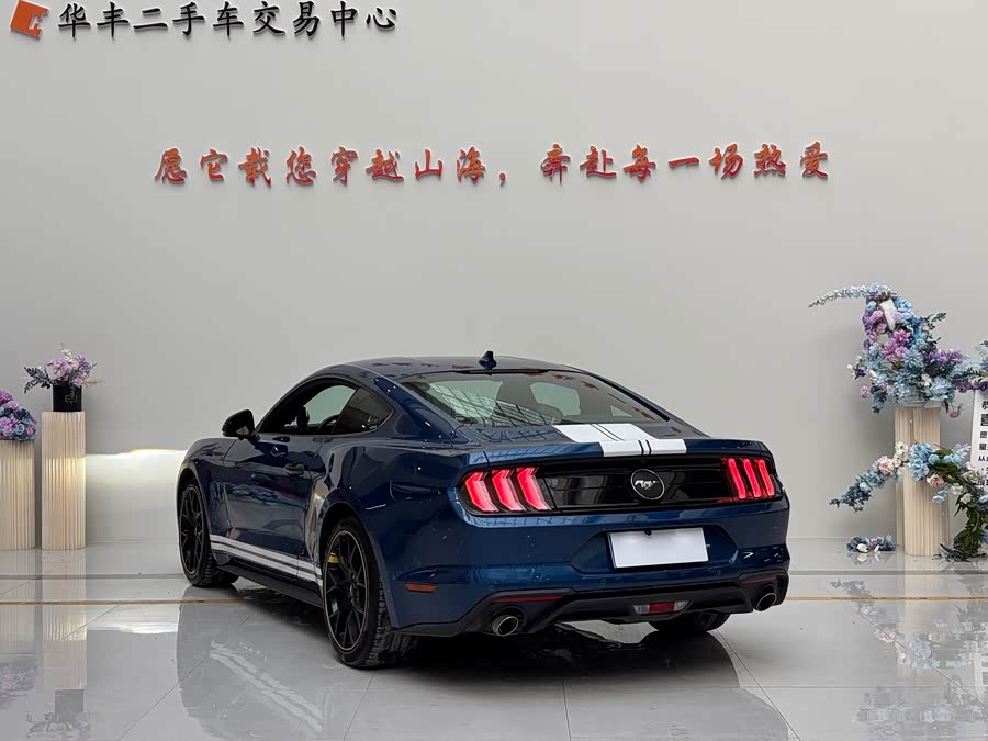 Ford Mustang 2023 #8 Ford Mustang 2023 car image #8
