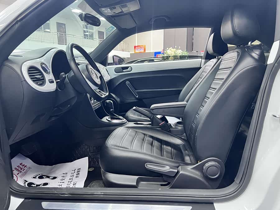 大众 甲壳虫 2016 汽车图片 #8