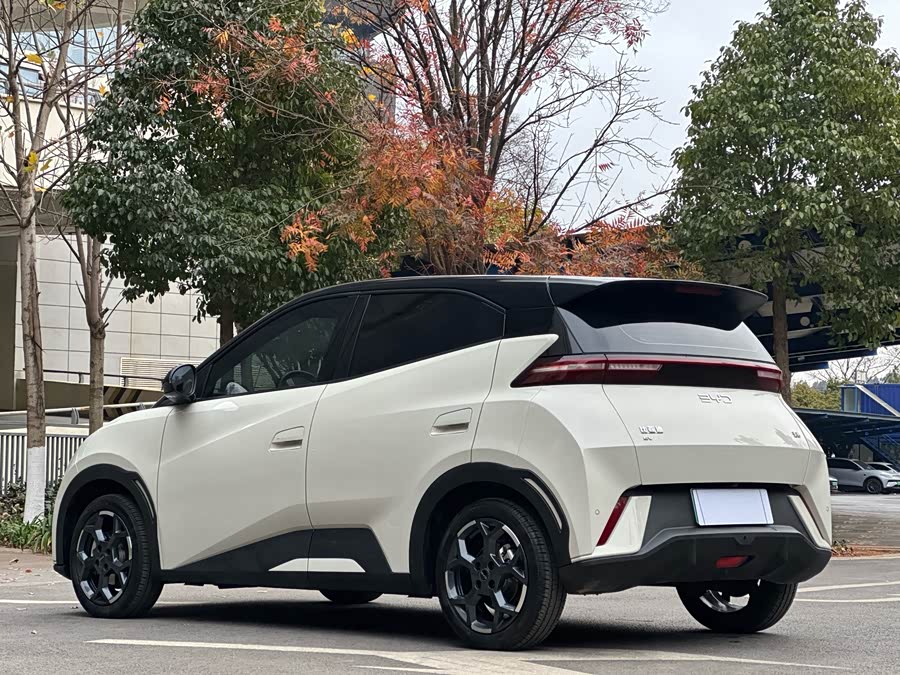 BYD Seagull 2024 #8 BYD Seagull 2024 صورة سيارة #8