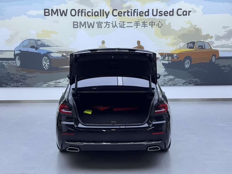 BMW 5 Series New Energy 2020 car image #8