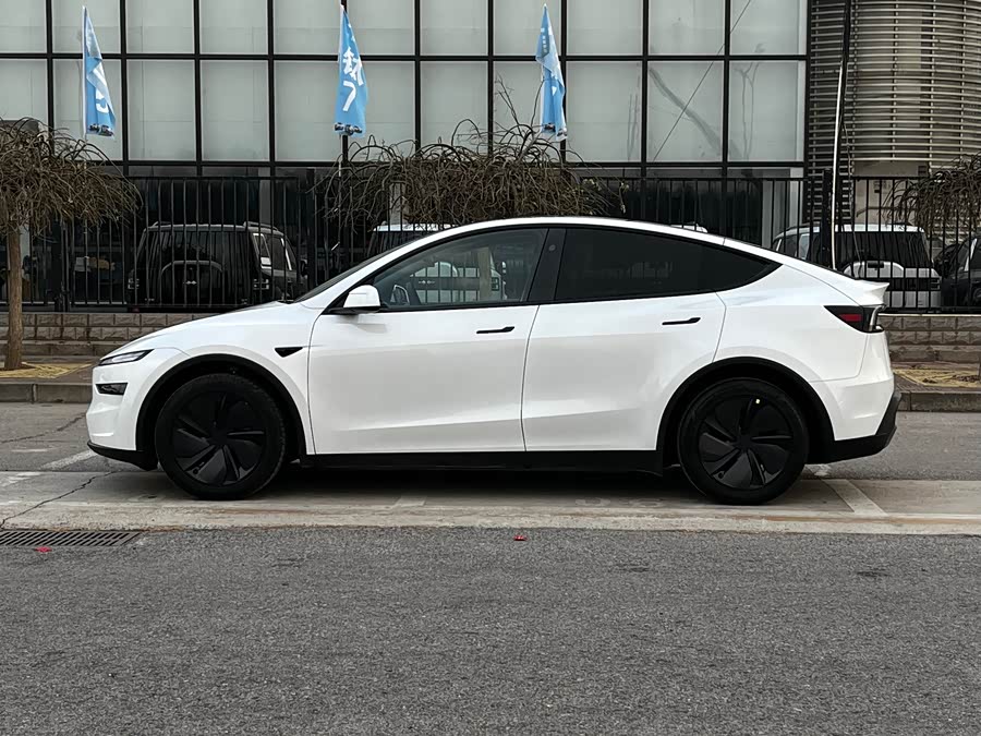 Tesla Model Y 2025 #8 Tesla Model Y 2025 car image #8