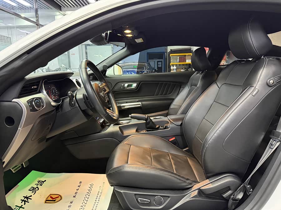 Ford Mustang 2019 #8 Ford Mustang 2019 car image #8