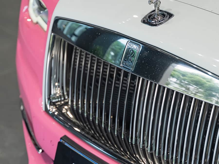 Denza Wraith 2022 #8 Denza Wraith 2022 immagine di auto #8