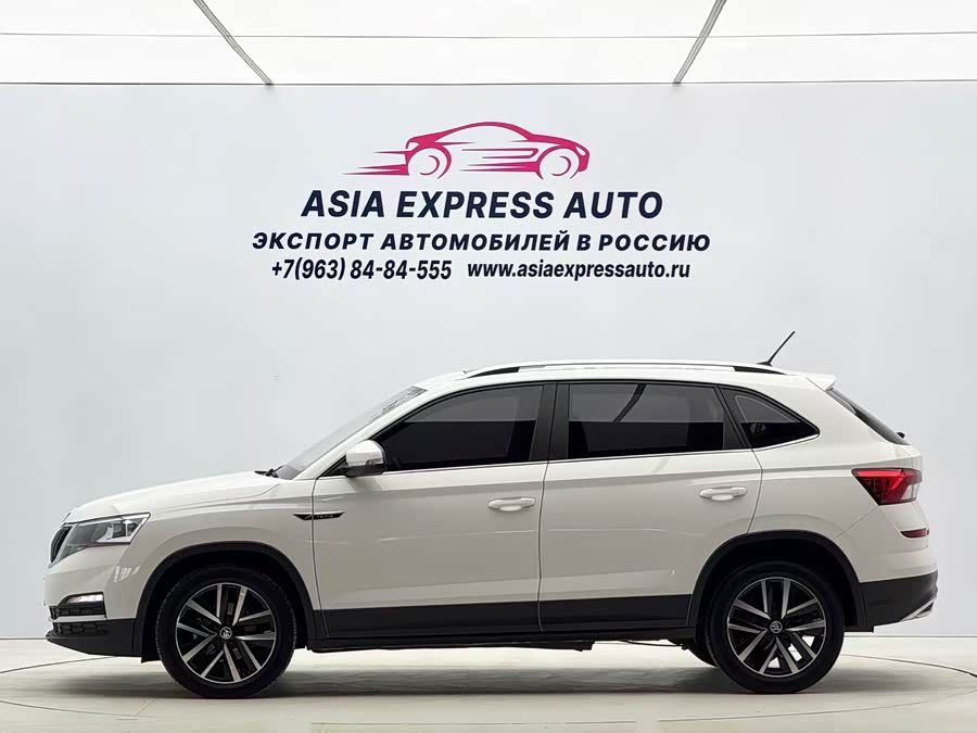 Skoda Kamiq 2021 car image #8