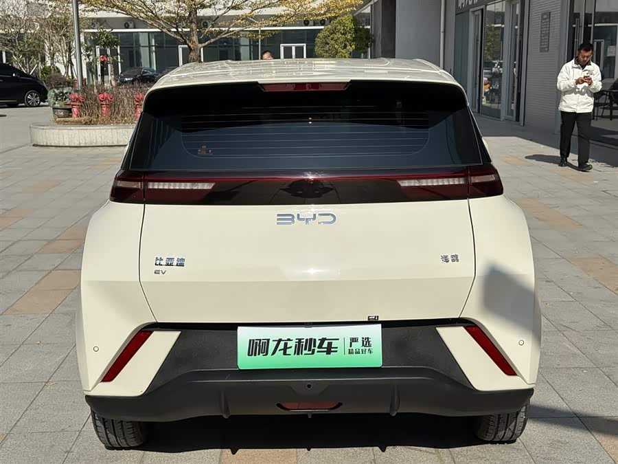 BYD Seagull 2024 صورة سيارة #8