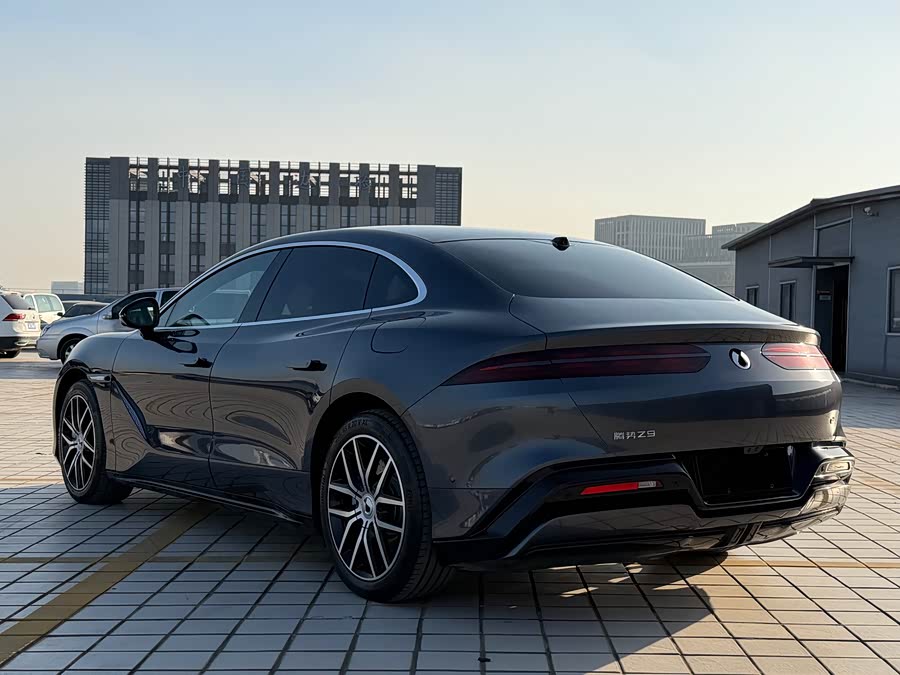 Denza Z9 2024 immagine di auto #8