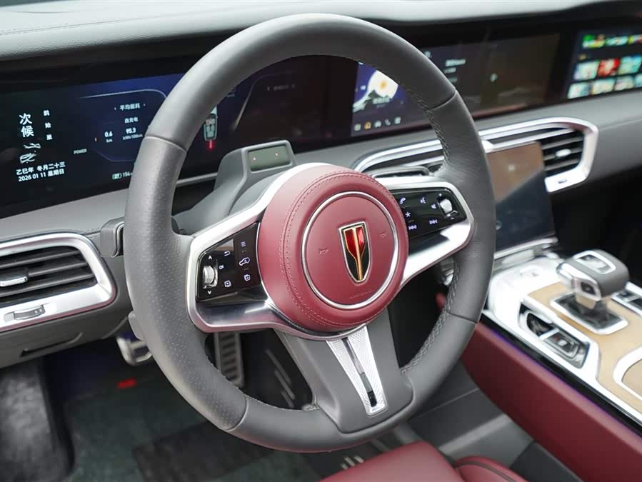 HongQi E-HS9 2022 immagine di auto #8