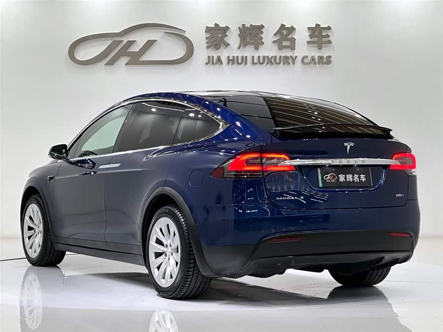 Tesla Model X 2018 car image #8