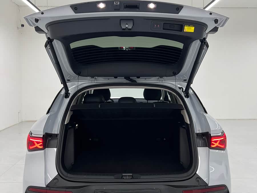 BYD Yuan Plus 2025 immagine di auto #8