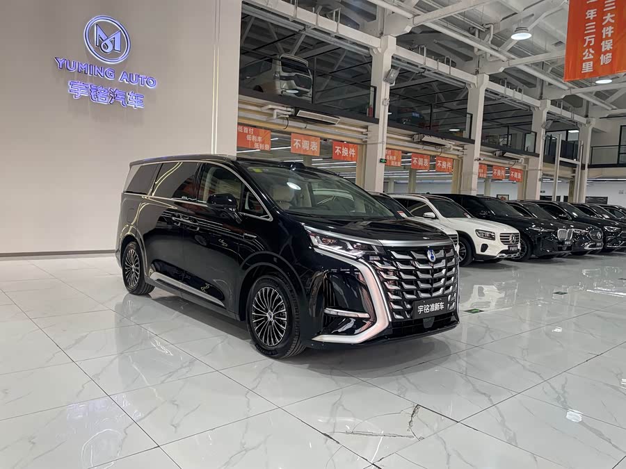 Denza D9 2025 imagen de coche #8