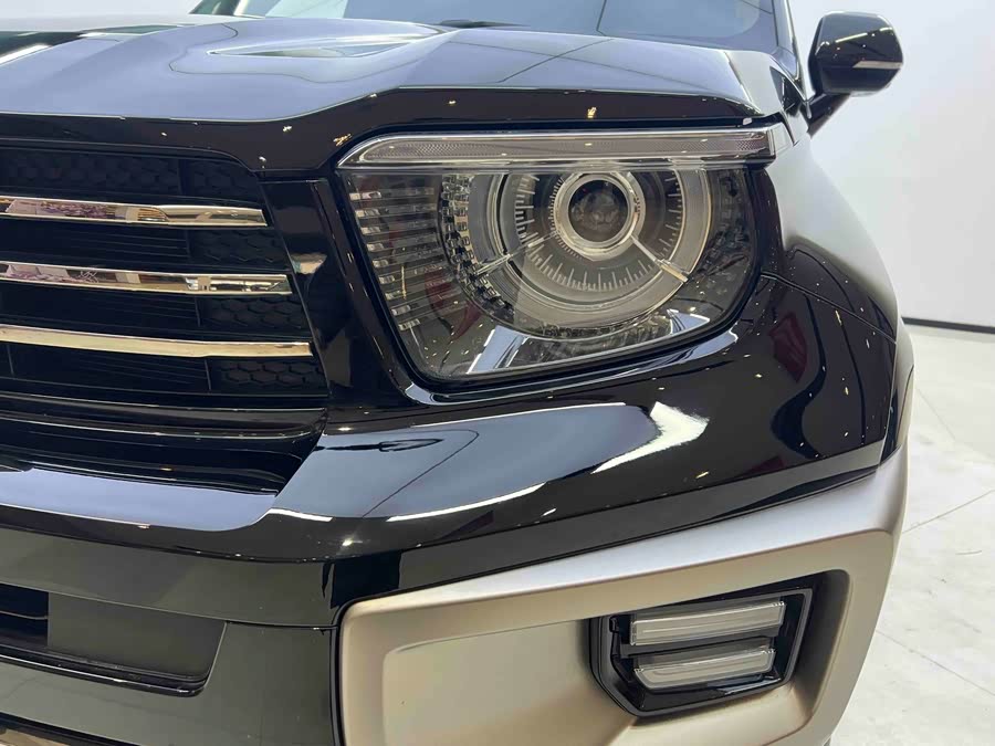 Tank 700 New Energy 2024 car image #8