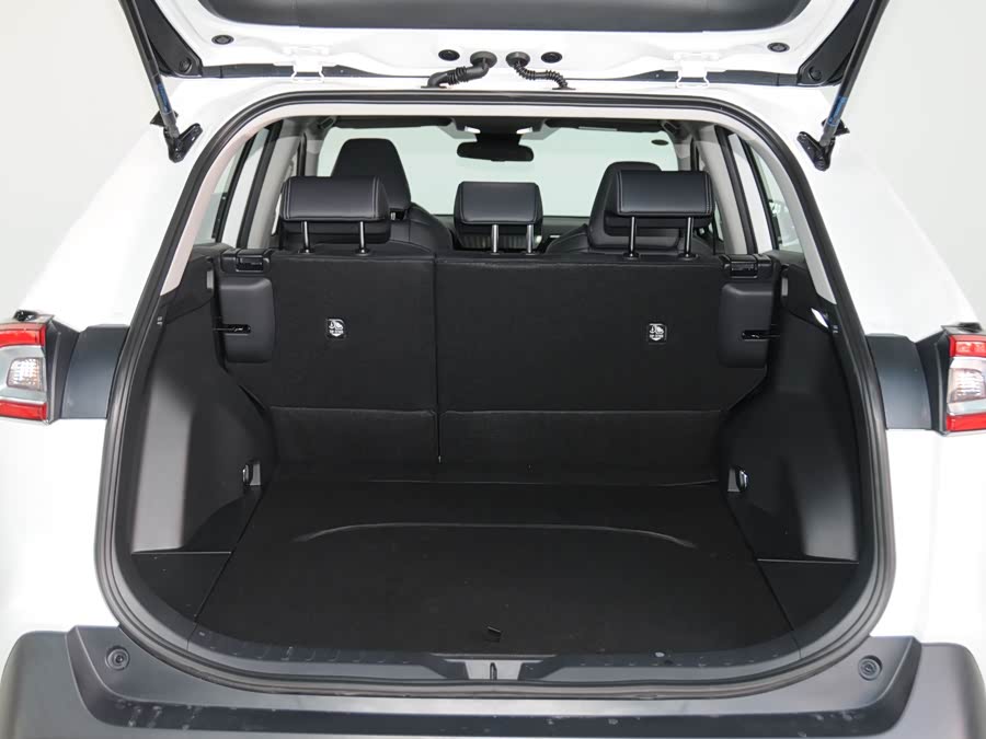 Toyota Wildlander 2023 imagem de carro #8