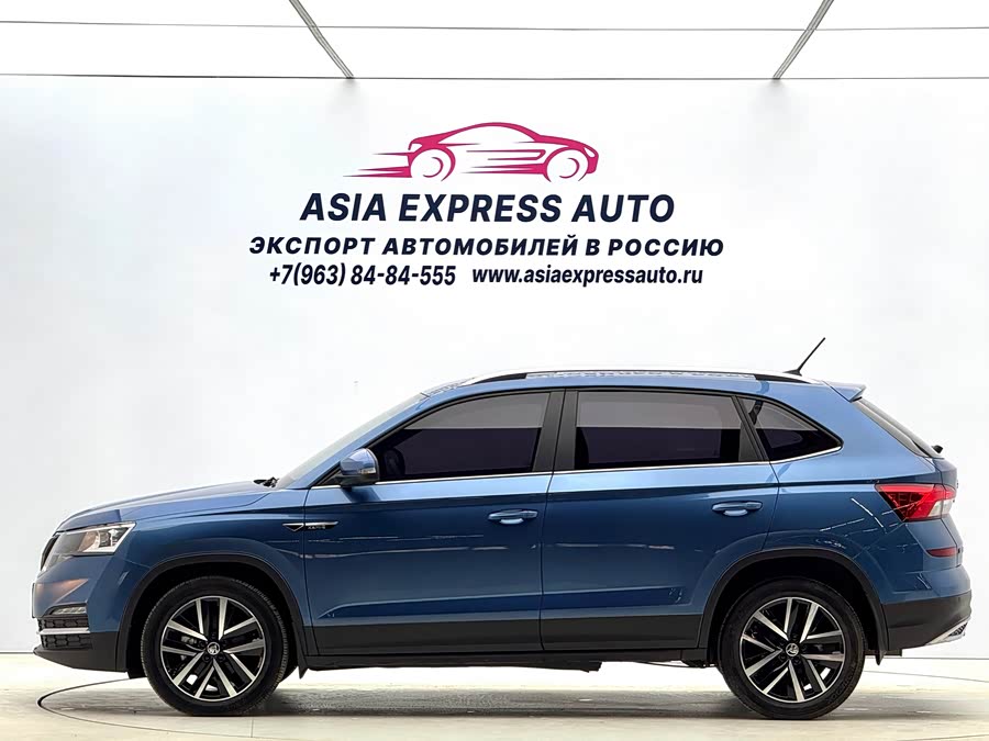 Skoda Kamiq 2021 imagem de carro #8