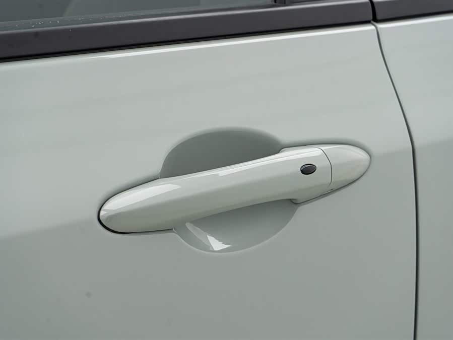 Ford Equator Sport New Energy 2024 car image #8