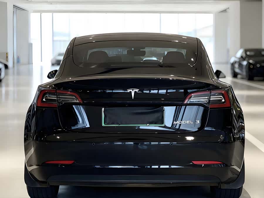 Tesla Model 3 2023 immagine di auto #8