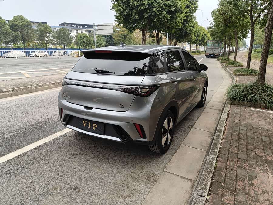 BYD Dolphin 2023 imagem de carro #8