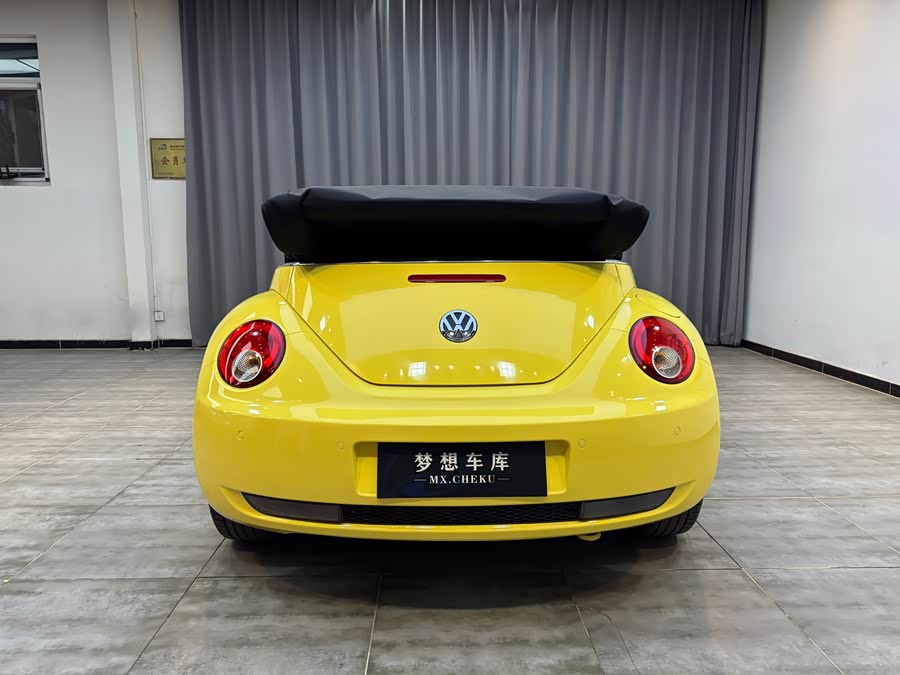 Volkswagen Beetle 2010 immagine di auto #8