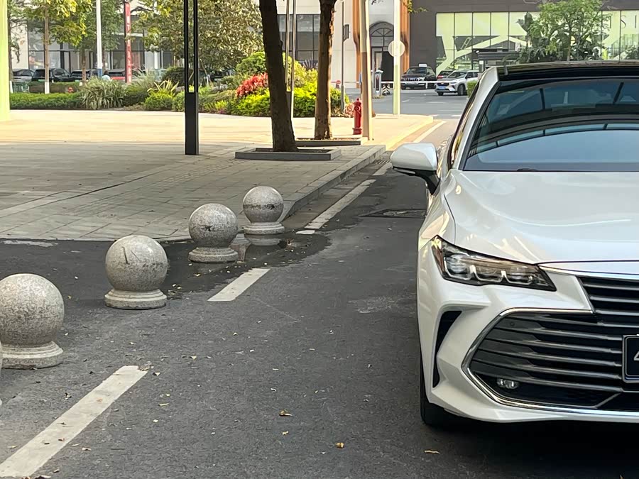 Toyota Avalon 2022 car image #8