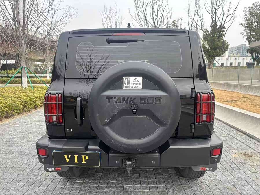 Tank 300 2021 car image #8