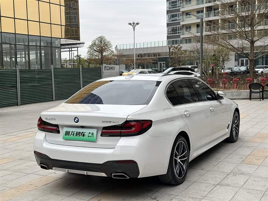 BMW 5 Series New Energy 2021 car image #8