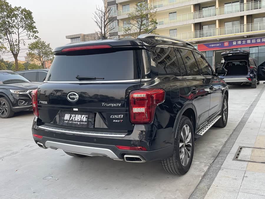 GAC Trumpchi GS8 2019 #8 GAC Trumpchi GS8 2019 car image #8