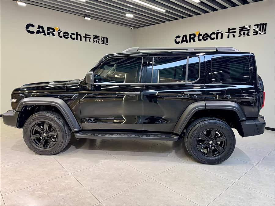 Tank 300 2024 car image #8