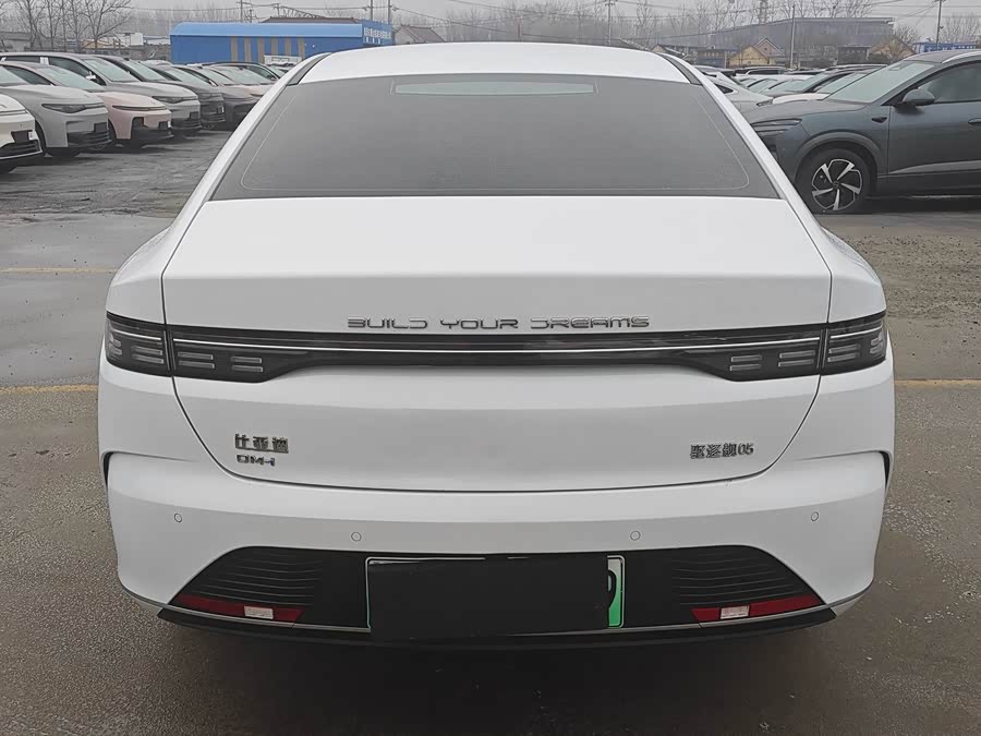 BYD Destroyer 05 2024 car image #8