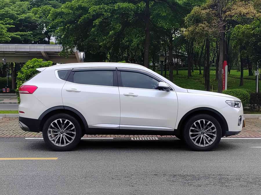 Haval H6 2019 car image #8
