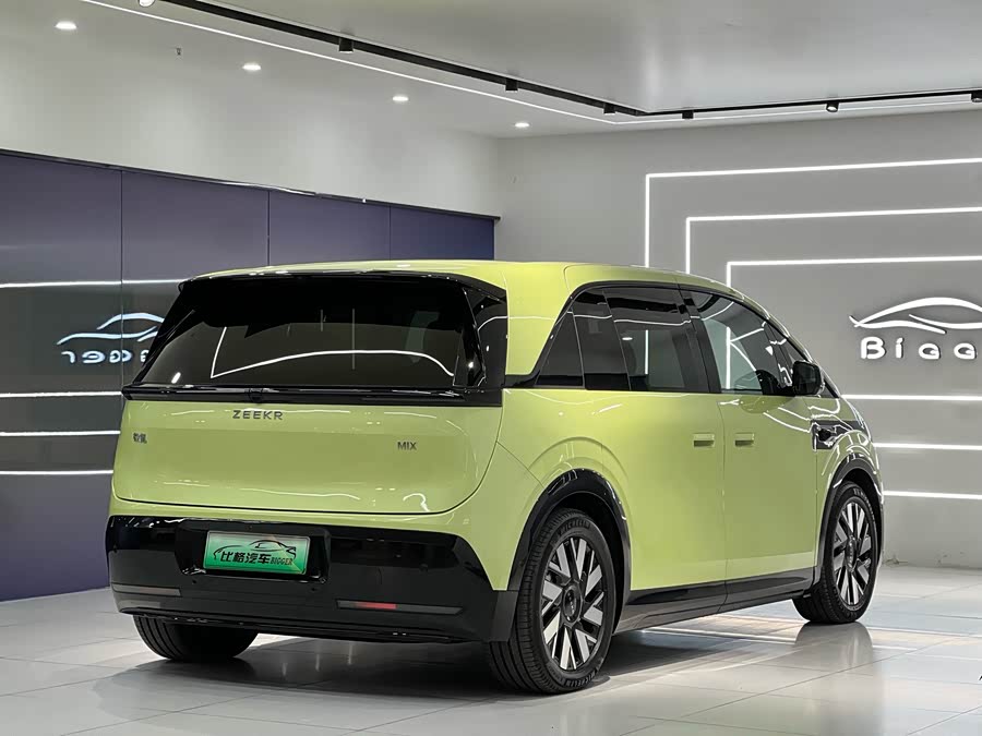 极氪 极氪MIX 2024 汽车图片 #8