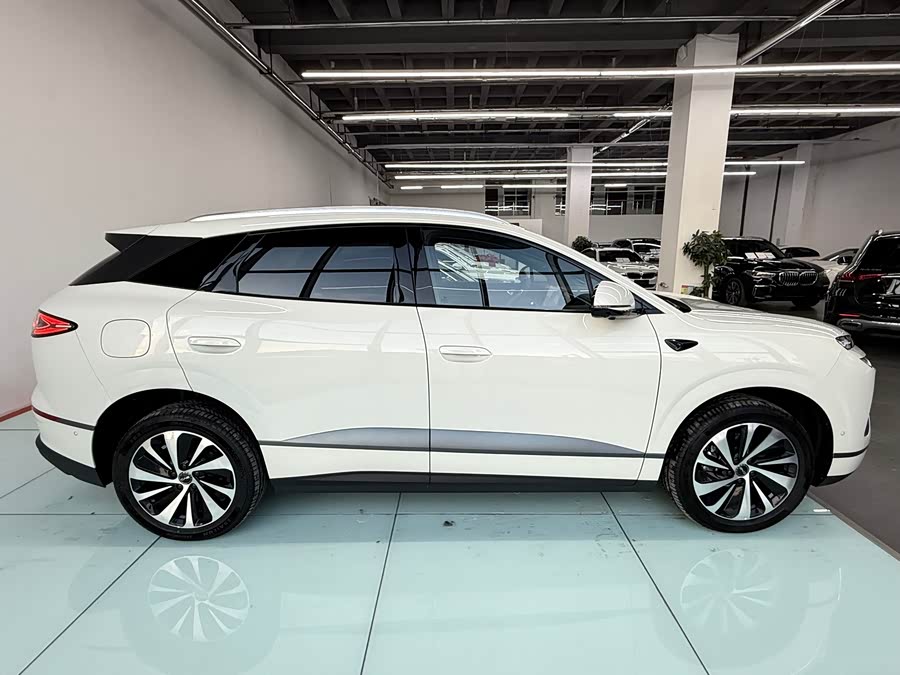 BYD Sea Lion 06 New Energy 2025 car image #8