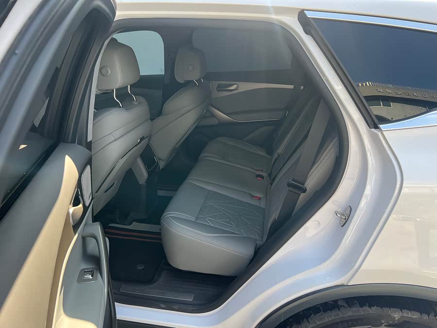 Denza N8 2023 car image #8