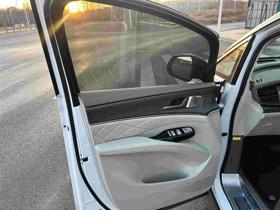 Denza D9 2023 immagine di auto #8